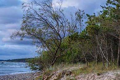 CS_GO美洲RMR赛战况激烈，csgoak美洲猛虎