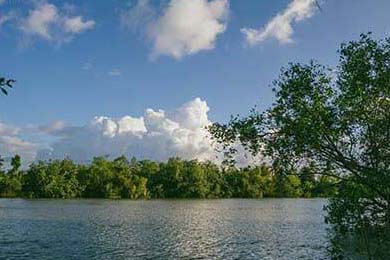 CBA赛事转播创新，增强观众沉浸体验，cba新赛季转播平台